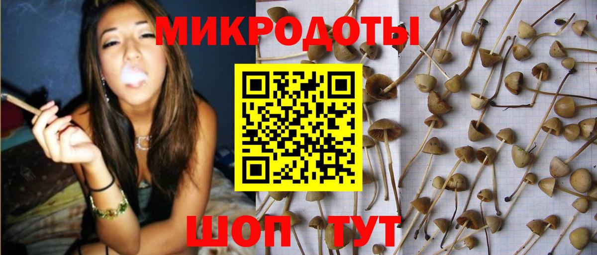 Псилоцибиновые грибы Cubensis Дзержинск
